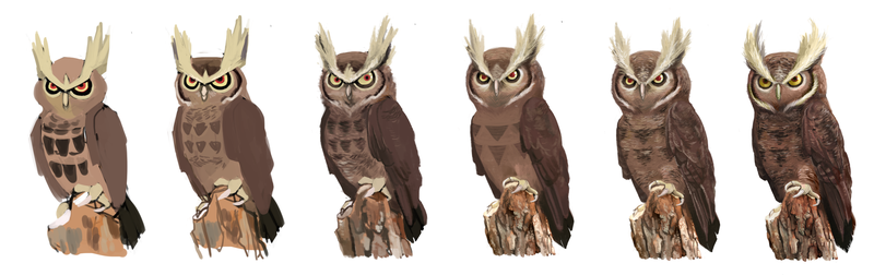 Illustration for article titled Noble Noctowl! Pokemon One a Day, Series 2!